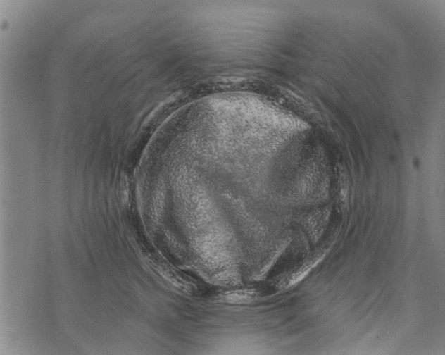 X0000073750758200608241347