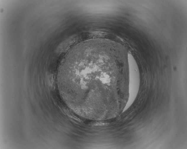 X0000073750759200608241347