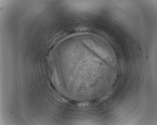 X0000073750761200608241347