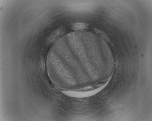 X0000073750763200608241347