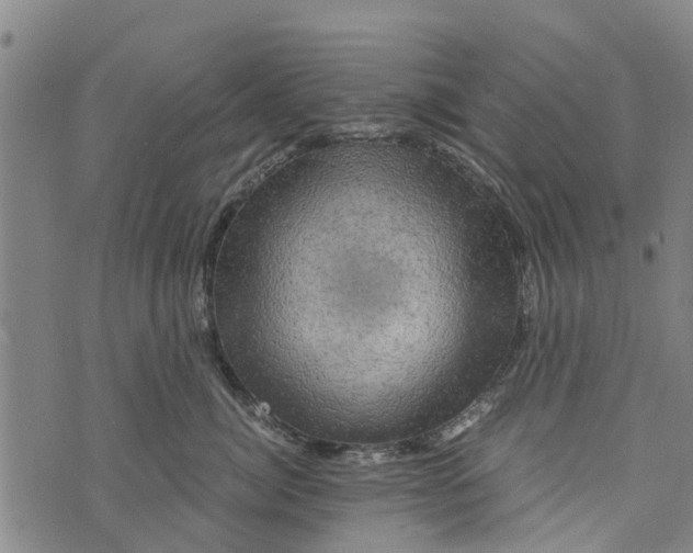 X0000073750764200608241347