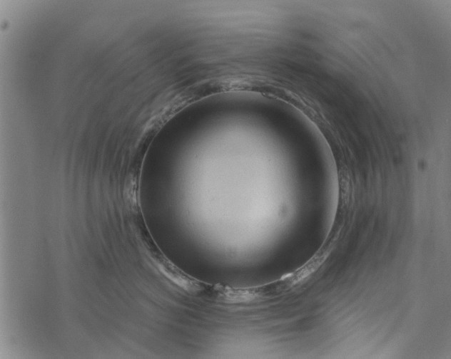 X0000073750766200608241347