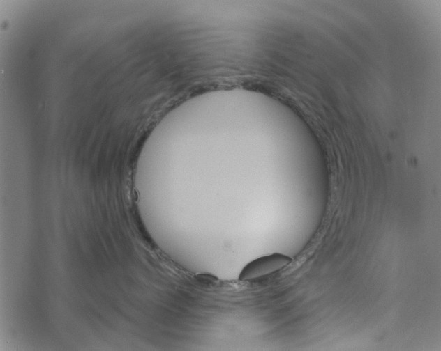 X0000073750768200608241347