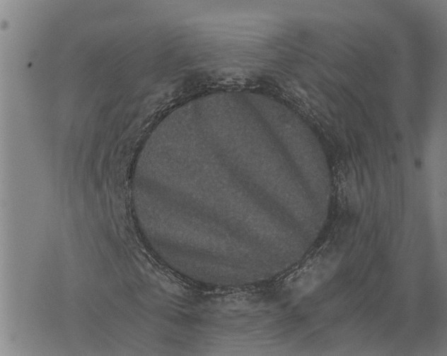 X0000073750769200608241346