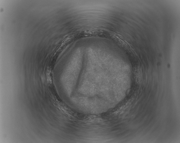 X0000073750770200608241346