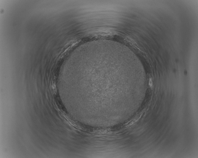 X0000073750771200608241346