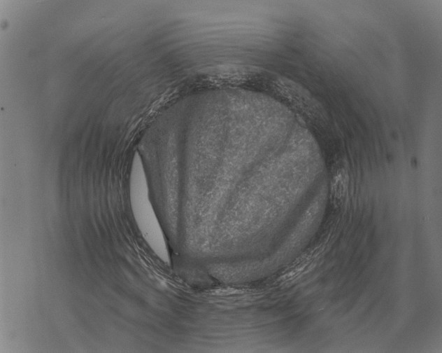 X0000073750772200608241346