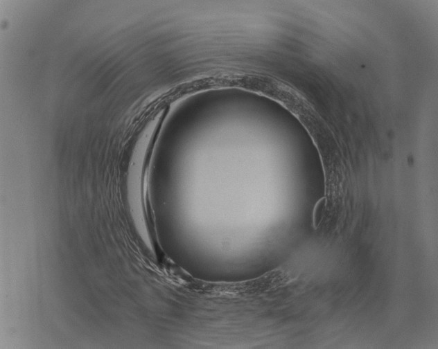 X0000073750773200608241346