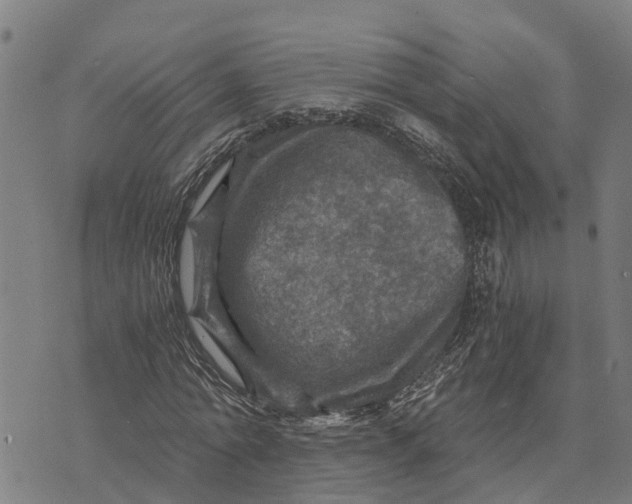 X0000073750774200608241346