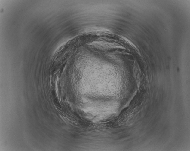 X0000073750775200608241346