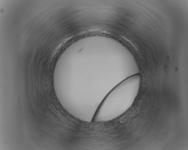 X0000073750776200608241346