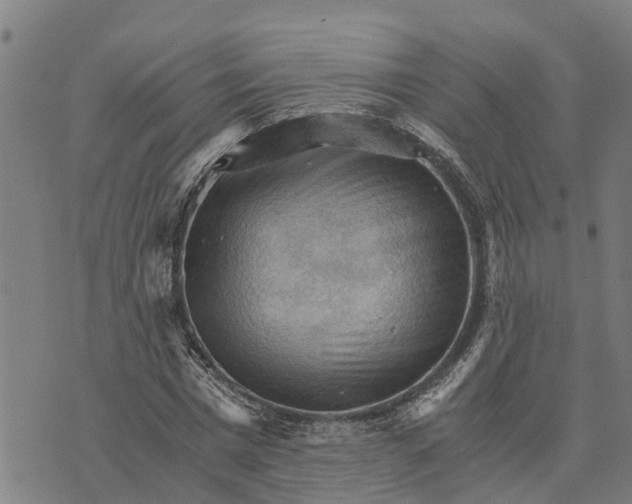 X0000073750777200608241346