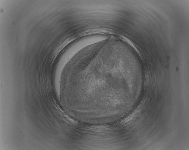 X0000073750778200608241346