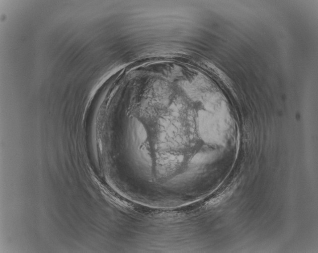 X0000073750779200608241346