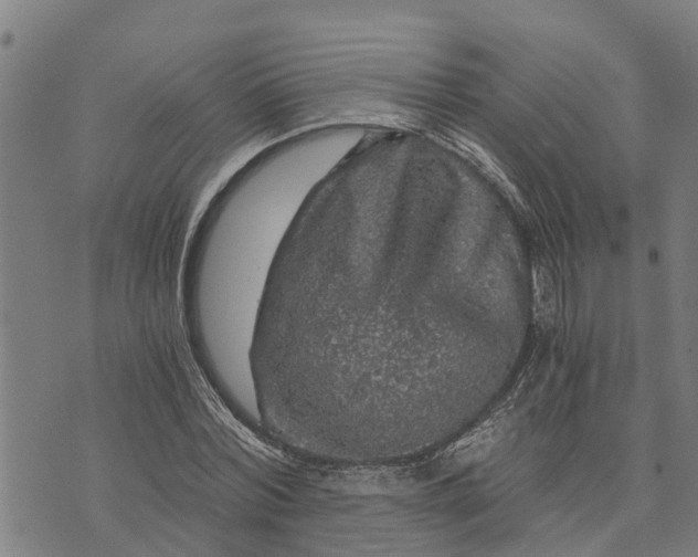 X0000073750780200608241346