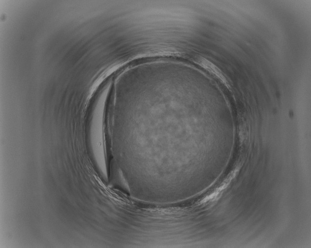 X0000073750781200608241346