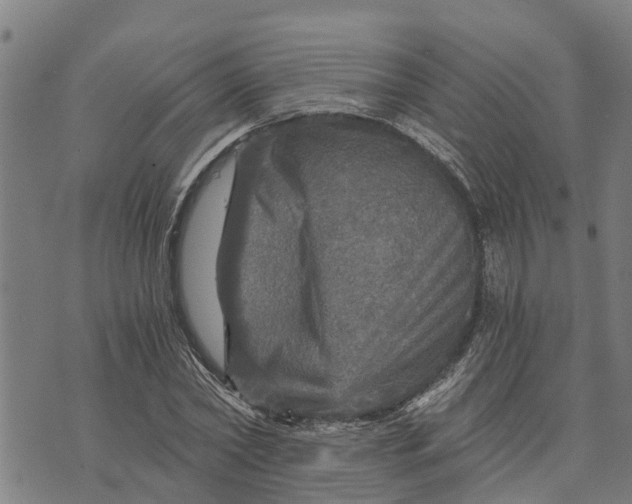 X0000073750782200608241346