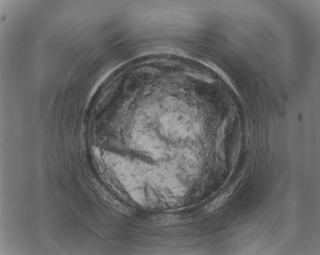 X0000073750783200608241346