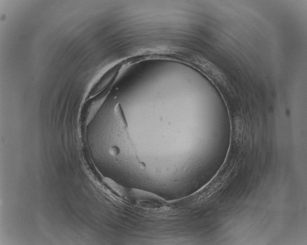 X0000073750784200608241346