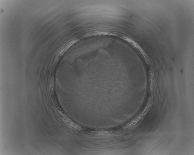 X0000073750785200608241346