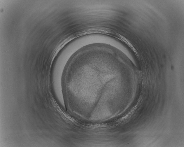 X0000073750786200608241346