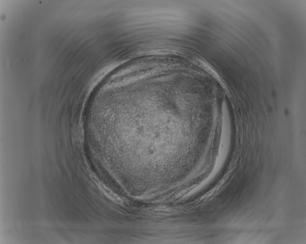 X0000073750787200608241346