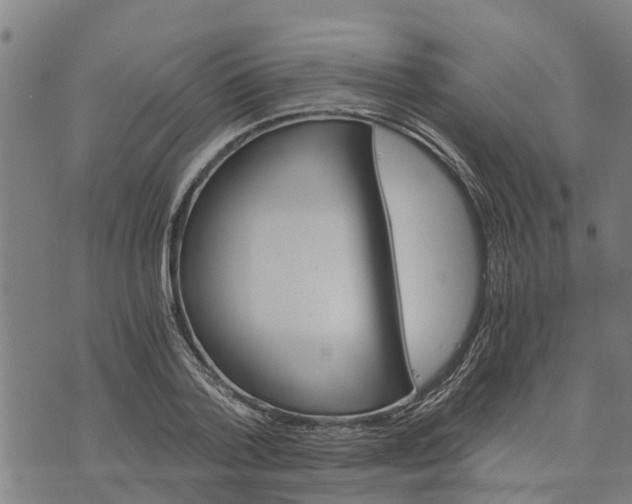 X0000073750788200608241346