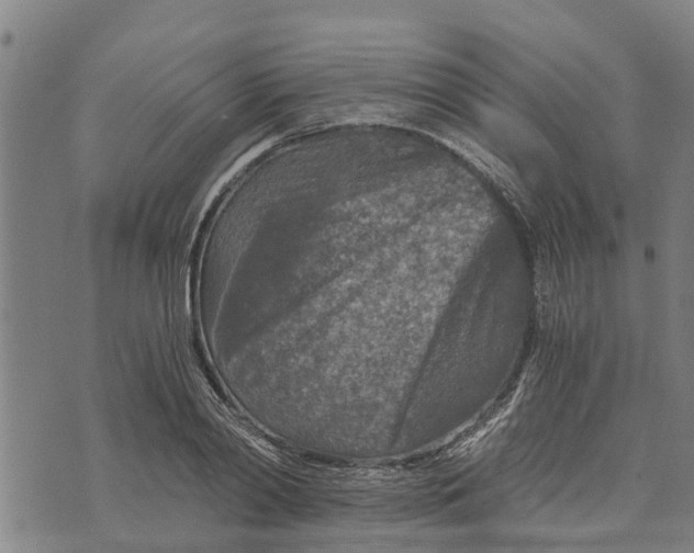 X0000073750790200608241346