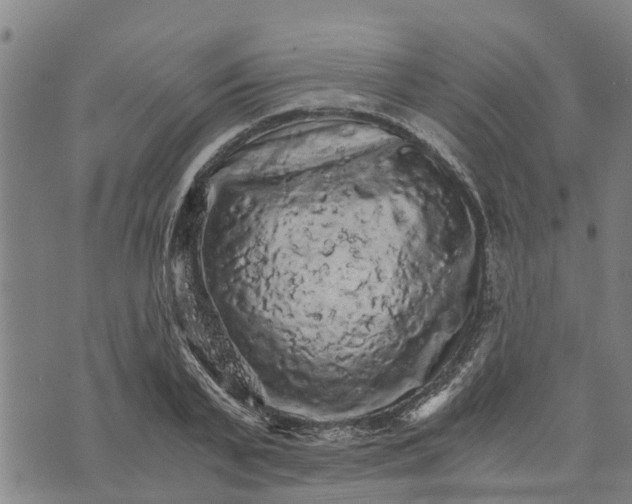 X0000073750791200608241346