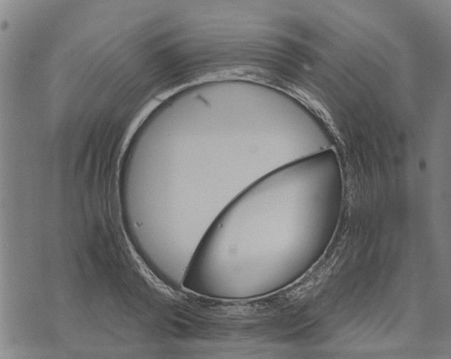 X0000073750792200608241346