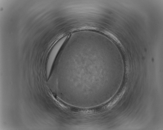 X0000073750793200608241346