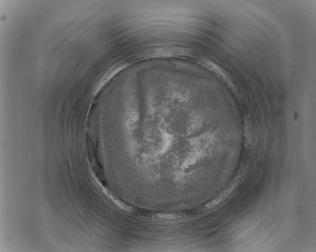 X0000073750794200608241346