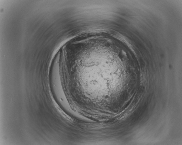 X0000073750795200608241346