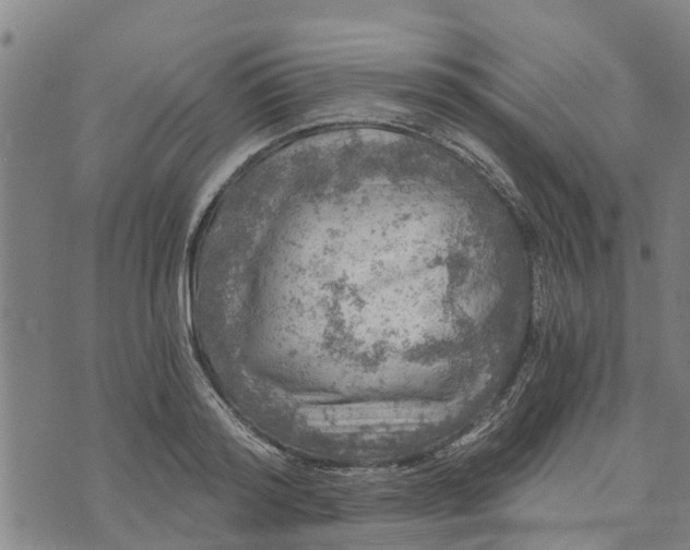 X0000073750796200608241346