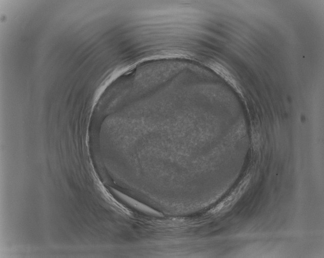 X0000073750797200608241346