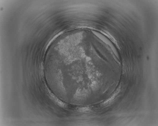 X0000073750798200608241346