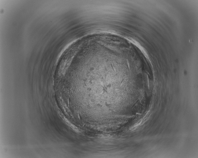 X0000073750799200608241346