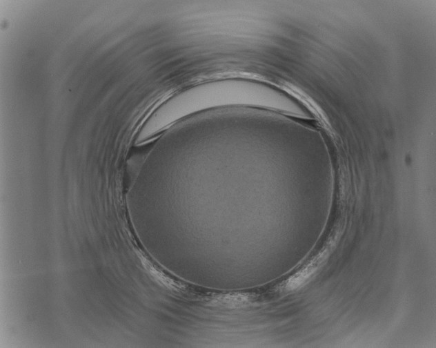 X0000073750801200608241346