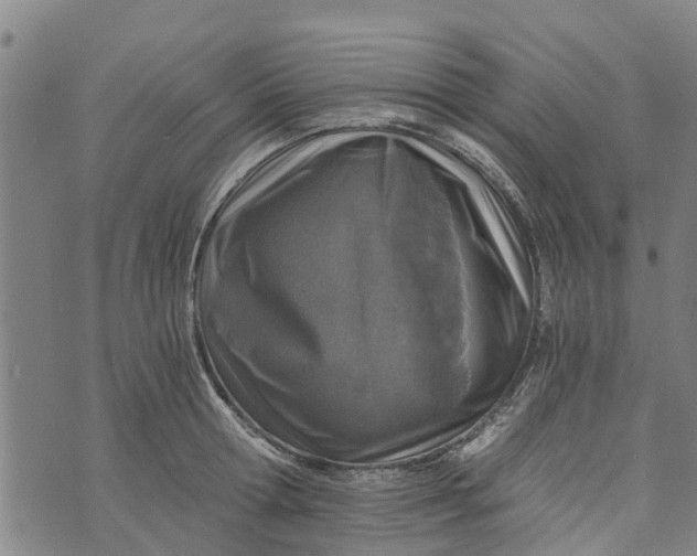 X0000073750802200608241346