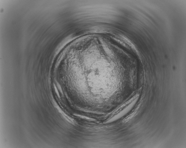 X0000073750803200608241346