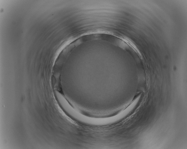 X0000073750805200608241345