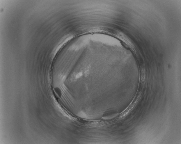 X0000073750806200608241345