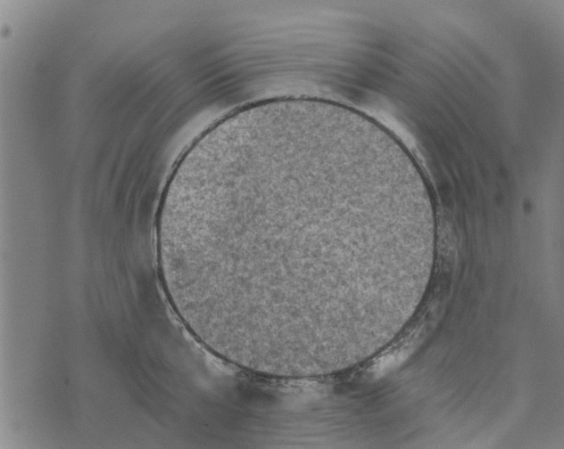 X0000073750807200608241345