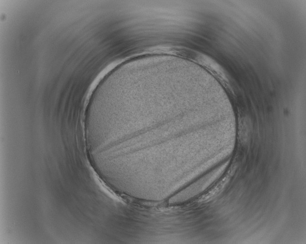 X0000073750808200608241345