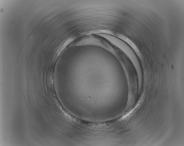 X0000073750809200608241345