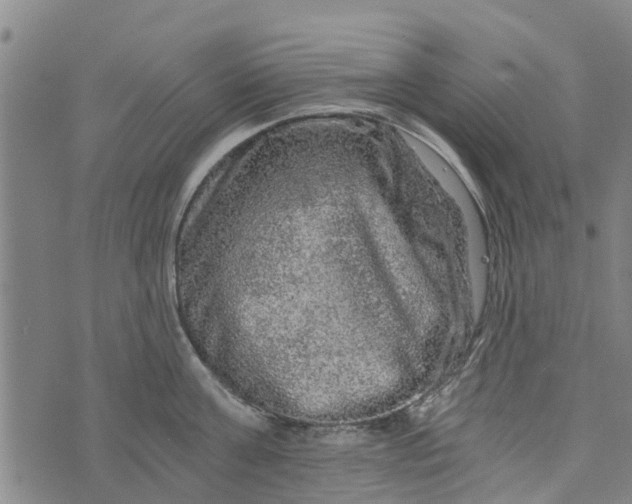 X0000073750811200608241345