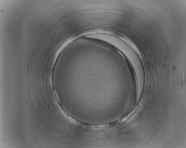 X0000073750813200608241345