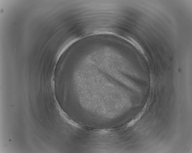 X0000073750814200608241345