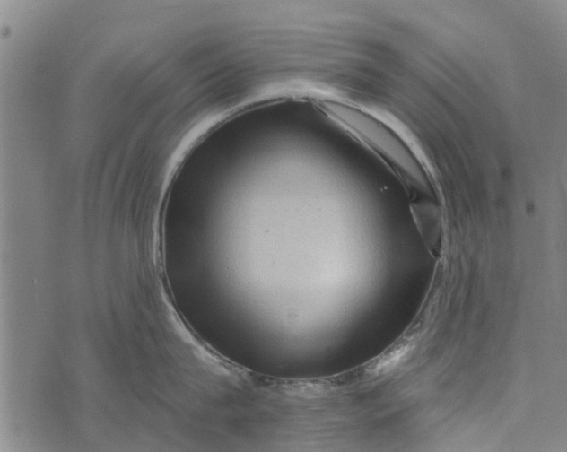 X0000073750815200608241345