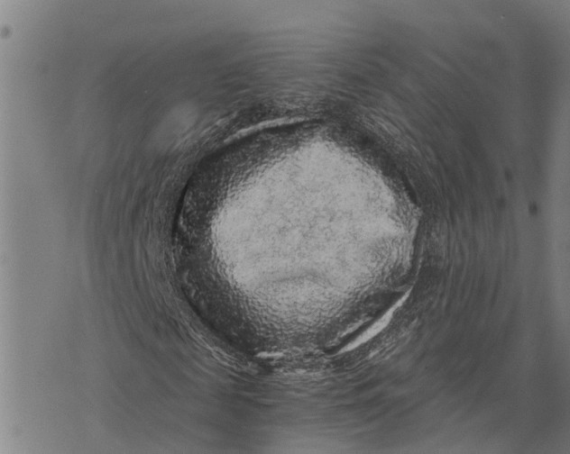 X0000073750817200608241345